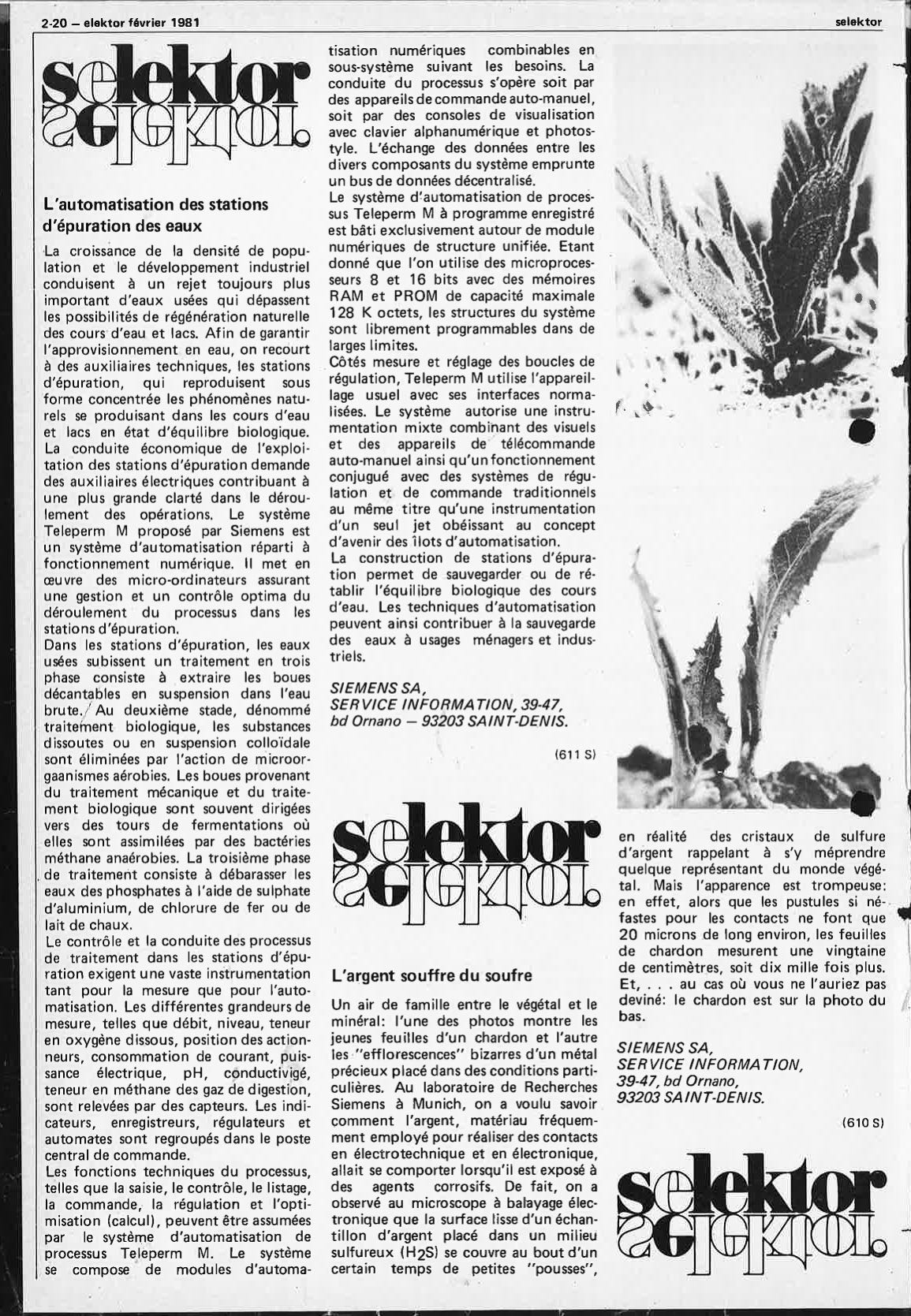 Selektor 1981-02