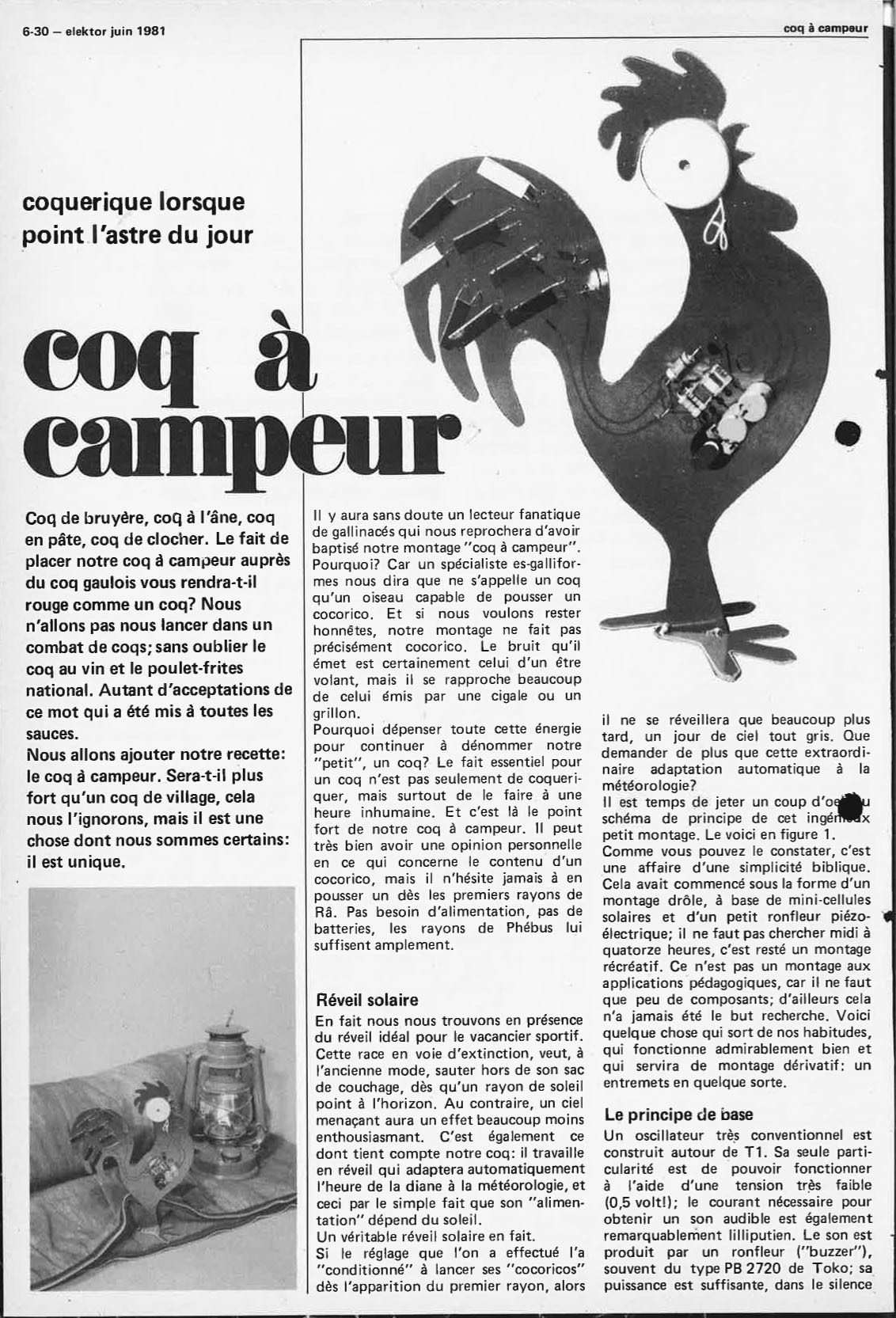 coq à campeurs